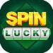Spin Rummy